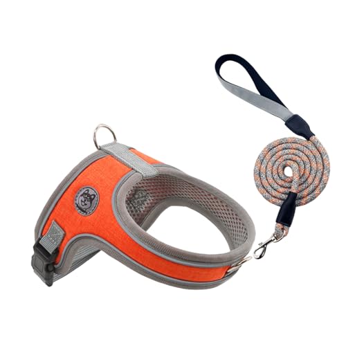 Arecobticy Hundehalsband, Hundeleine, reflektierend, gestreift, Leine, Gurte, Seil, starkes Training, Spazierengehen, Schwimmgürtel, weicher Griff von Arecobticy