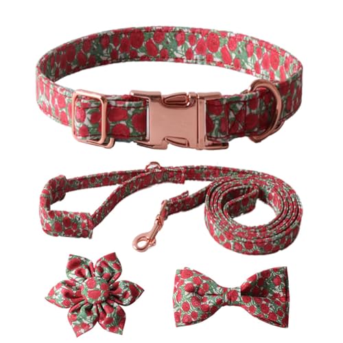 Arecobticy Hundehalsband, Hundeleinenkabel, 4-teiliges Set, niedliches Hundehalsband + Leine + Krawatte, Set mit Blumendekoration für modische Haustierbesitzer, hebt Ihren Haustierstil auf von Arecobticy