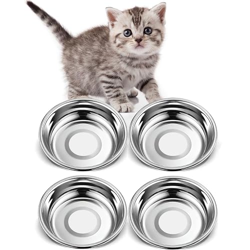 Arespark Katzennäpfe aus Edelstahl, 4 Stück, Schnurrhaar, Müdigkeit, Katzenfutter, flache Katzen- und Hunde-Metallschalen für drinnen und draußen, spülmaschinenfest (14 cm) von Arespark