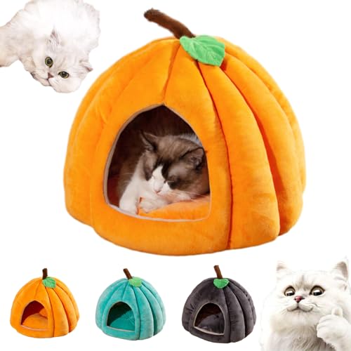 Argumub Pumpkin Cat Bed, Gemütliches Kürbis-Katzenhaus mit abnehmbarem Kissen, Halbgeschlossenes Kürbis-Katzenbett für Katzen und Hunde (Orange, L(56 x 56 x 43 cm)) von Argumub