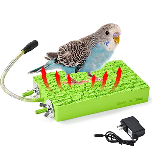 Beheizter Vogel-Heizstation für Käfig, Vogelheizung, Ständer für exotische Haustiere, Vögel, kleine Vögel, afrikanisches Grau, Sittiche, Papageien, 12 V, 5 W, 8,4 x 15,2 cm von Arigoul