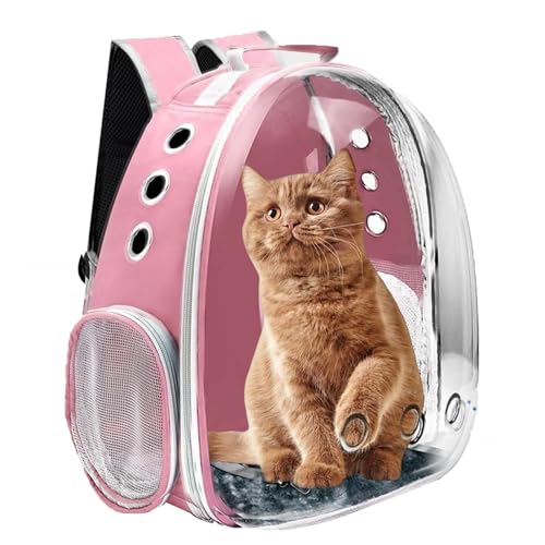 Katzentragetasche Rucksäcke Hundetragetaschen für kleine Hunde Tragetasche Katzentasche Haustiertragetasche für Katzen Rucksack Tragetasche Katzenbedarf Katze Reisetrage Kleine Haustiertragetasche von Arilaca