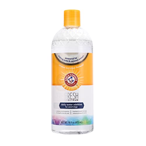 ARM & HAMMER Kokosnuss-Wasserzusatz für Hunde - Einfach zu verwenden, Reduziert Zahnbelag und Zahnstein, Erfrischt den Atem. Zahnfleisch- und Zahnreinigung (473 ml) von Company of Animals