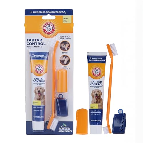 Arm & Hammer Zahnpflege-Set für Hunde von Arm & Hammer