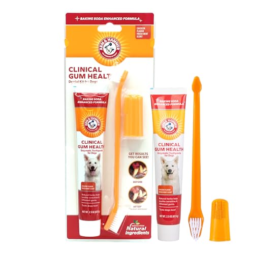 Arm & Hammer Zahnpflege-Set für Hunde von Arm & Hammer