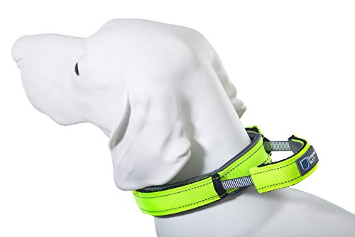 Armored Tech Dog Control Halsband mit integrierter Kurzleine (L - Halsumfang 45-53 cm, neon grün) von Armored Tech