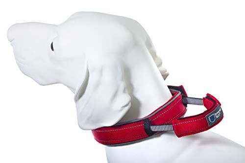 Armored Tech Dog Control Halsband mit integrierter Kurzleine (L - Halsumfang 45-53 cm, rot) von Armored Tech