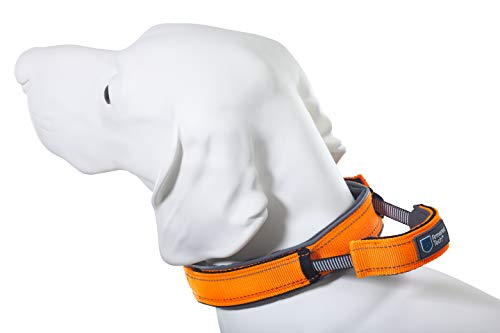 Dog Control Halsband mit integrierter Kurzleine (L - Halsumfang 45-53 cm, orange) von Armored Tech