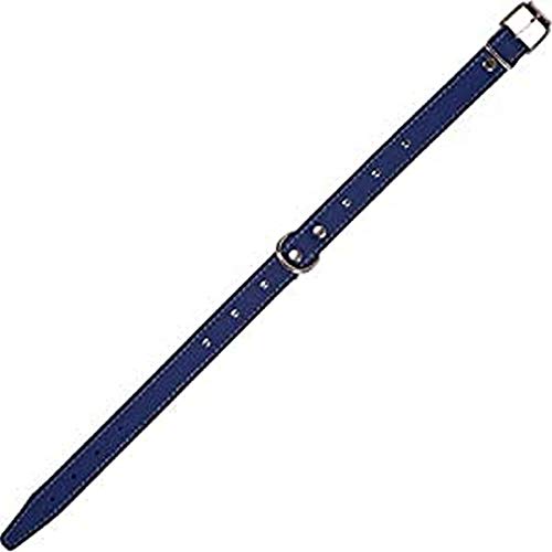 arppe 195311530130 Leder Halskette FORNITURA, F3D Amazone, blau und grau von Arppe