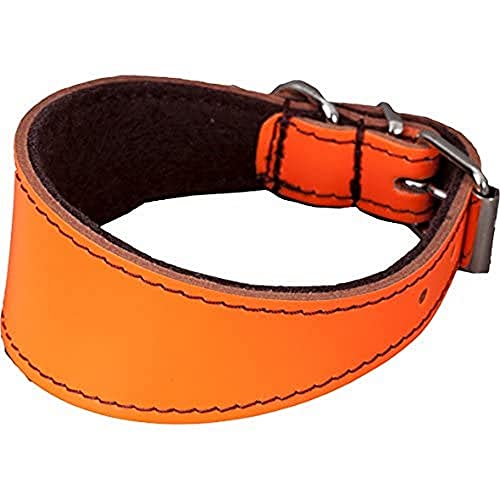Arppe 195466045155 Greyhound-Halskette oder Filz Leder Orinoco, Braun und Orange von Arppe