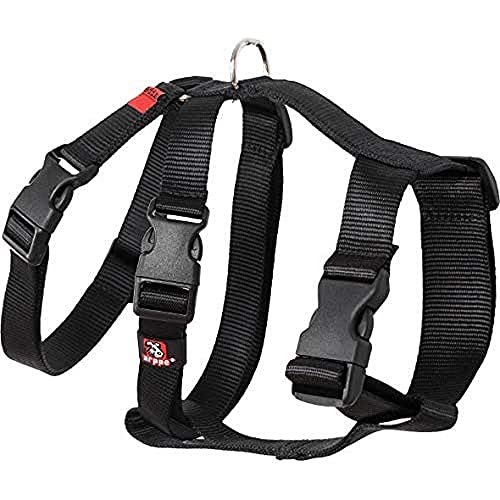 Arppen 196222530009 Harness Nylon grundlegende dreifache Greyhounds und Punnuts, Schwarze Farbe von Arppe