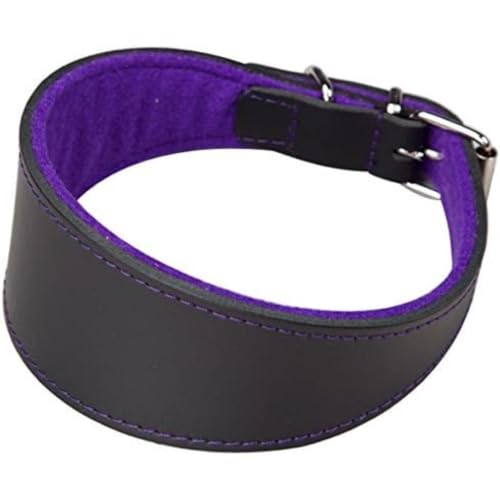 Arppe 2154014511 Superfelt Lederhalsband für Windhunde, Schwarz und Violett von Arppe