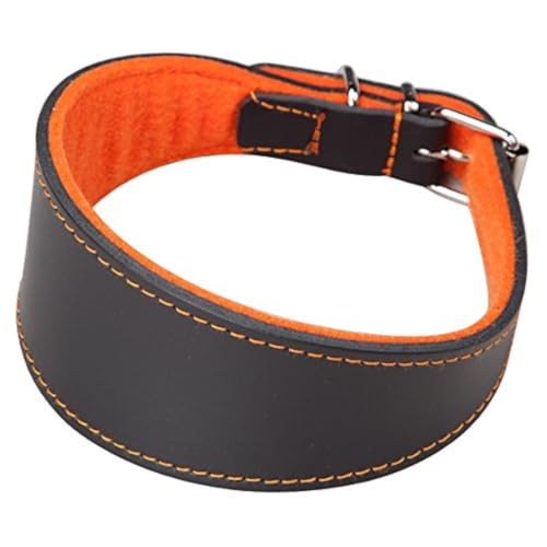 Arppe Galgo 2154015006 Halskette Leder Superfeld Schwarz und Orange von Arppe