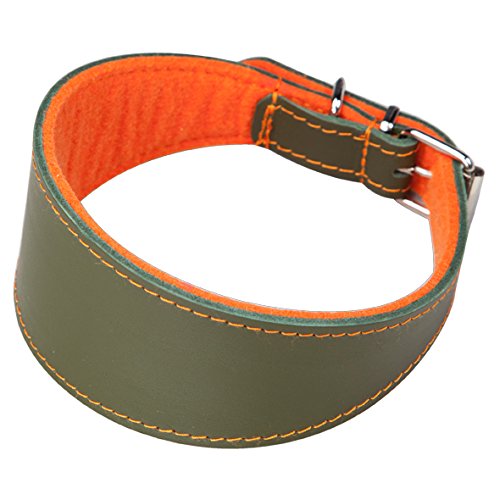 Arppe 2155015092 Superfelt Lederhalsband für Windhunde, Grün und Orange von Arppe