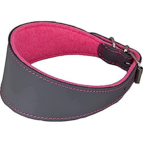 Arppe 2155015094 Greyhound oder Leder Superfelt, Grau und Fuchsia von Arppe