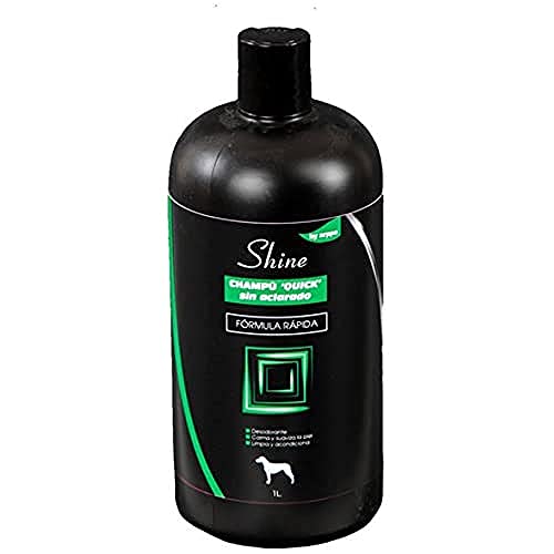 arppe 2923019100 CHAMPU Shine Quick ohne Spülen, 1 l von Arppe