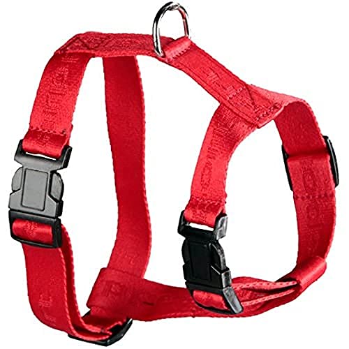 Arppe 415103040001 Geschirr Nylon Sport, Rot von Arppe