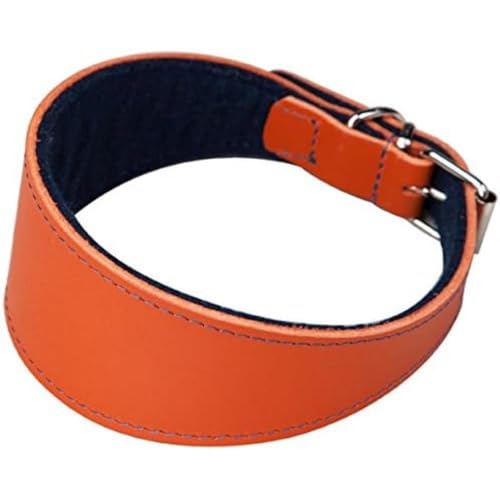 Arppe Hundehalsband Galgo Leder Superfelt mit Steppnähten, Superfelt für angenehmen Hautkontakt, Größe L, Orange, Blau von Arppe