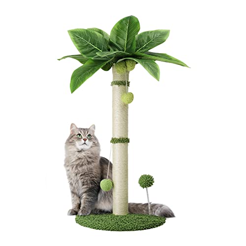 Arquiel Katze Kratzbaum Groß, Kratzsäulen Katzenkratzbaum mit 5 Interaktiven bällen, Sisal-Seil-Kratzbäume für Wohnungskatzen und Kätzchen (Höhe 65 cm) von Arquiel