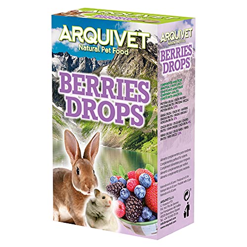 ARQUIVET Berries Drops Waldfrüchte, 65 g, Snacks für Nagetiere, Leckereien, Leckereien, Belohnungen, Leckereien für Kaninchen, Hamster, Meerschweinchen, Frettchen von Arquivet