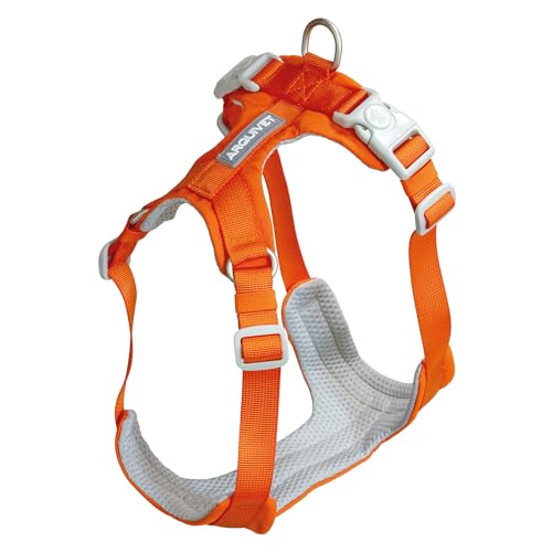 ARQUIVET Hundegeschirr Rom, Orange, M (49-68 cm) von Arquivet