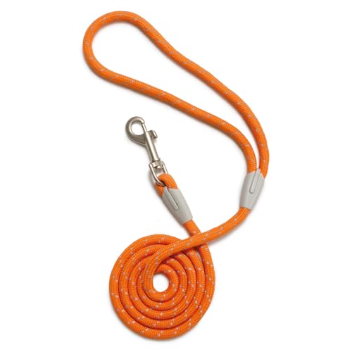 ARQUIVET Hundeleine in Orange (8 mm x 120 cm) von Arquivet