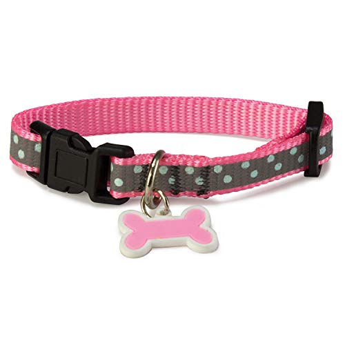 Arquivet 8435117802629 Halskette Hund Reflektierend Pink 1,9 x 35/50 cm von Arquivet