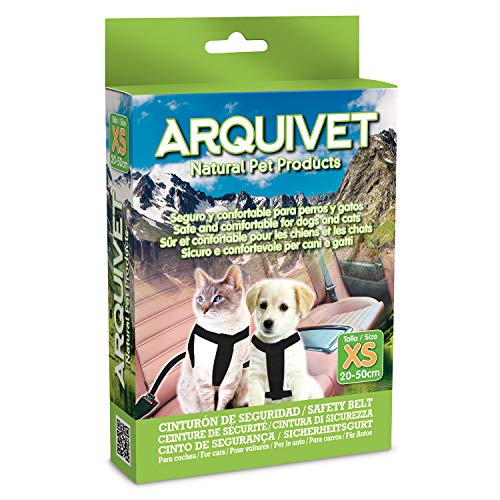 Arquivet 8435117812949 – Gürtel Sicherheit XS von Arquivet