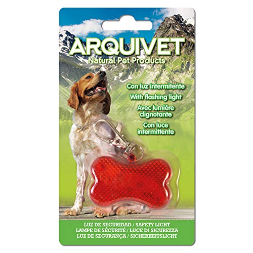 Arquivet 8435117813465 Flasher Knochen, 4,5 x 2 cm von Arquivet