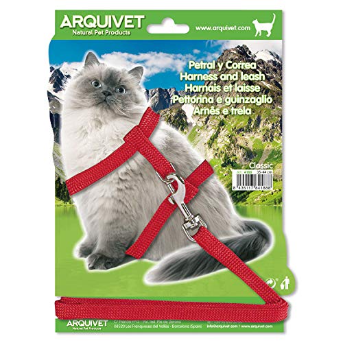 Arquivet 8435117841888 – Petral Und Gurt Classic 35/44 C von Arquivet