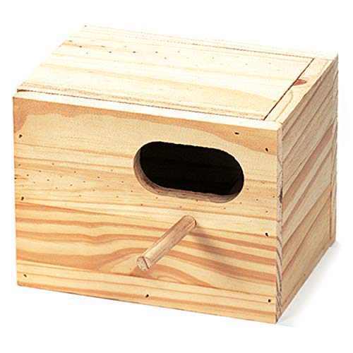 Arquivet 8435117856158 – Nest Holz Diamanten Gould von Arquivet