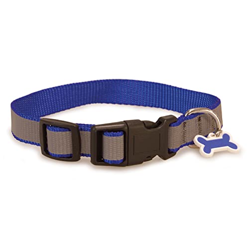 Arquivet 8435117885530 Halskette Hund Reflektierend Blau 1,6 x 25/35 cm von Arquivet