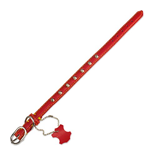 Arquivet 8435117895317 Halskette Leder Basico, Rot 15 x 35 cm von Arquivet