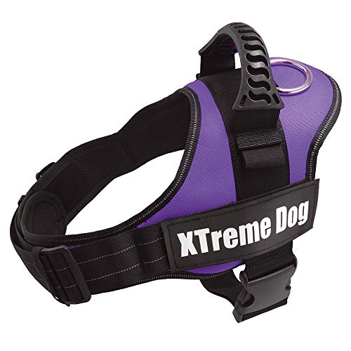 Arquivet Hundegeschirr Xtreme Dog Lila - Größe XXL / 83-117 cm - verstellbar, ergonomisch und robust - inkl. Griff an der Oberseite zum Spazierengehen von Arquivet