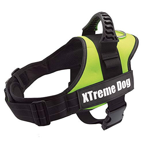 Arquivet Hundegeschirr Xtreme Dog - Neon Green - Größe: XXL / 83-117 cm von Arquivet