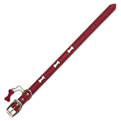 Arquivet Hundehalsband, Leder, rote Knochen, 1,5 x 35 cm von Arquivet