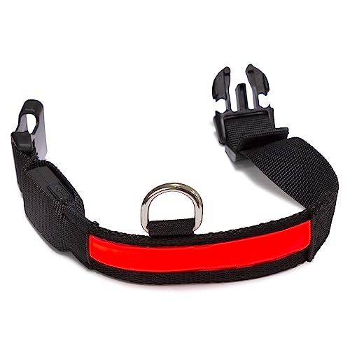 Arquivet - Leuchtendes Halsband für Hunde, LED, Rot, Größe L 48-60 cm, 2,5 cm von Arquivet