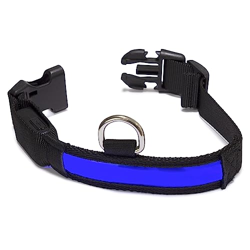 Arquivet - Leuchtendes Hundehalsband LED blau - Größe L 48-60 cm / 2,5 cm von Arquivet