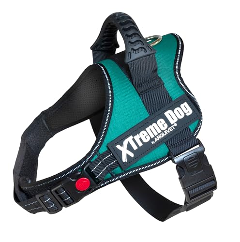 Arquivet - Xtreme Dog Geschirr - Smaragdgrün - XS (44-57 cm) - Hundegeschirr von Arquivet