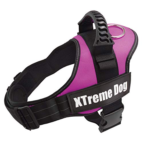 Arquivet Xtreme Hundegeschirr für Hunde, Rosa, Größe L/70-95 cm, verstellbar, ergonomisch und robust, inkl. Griff an der Oberseite zum Spazierengehen von Arquivet