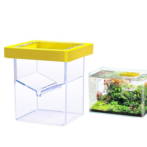 Arroopu Aquarium-Züchterbox – schwimmende Fisch-Isolations-Zuchtbox, Saugnapf-Schlüpfbehälter, Aquarium-Zubehör zum Isolieren, Akklimatieren oder Aufziehen von Arroopu