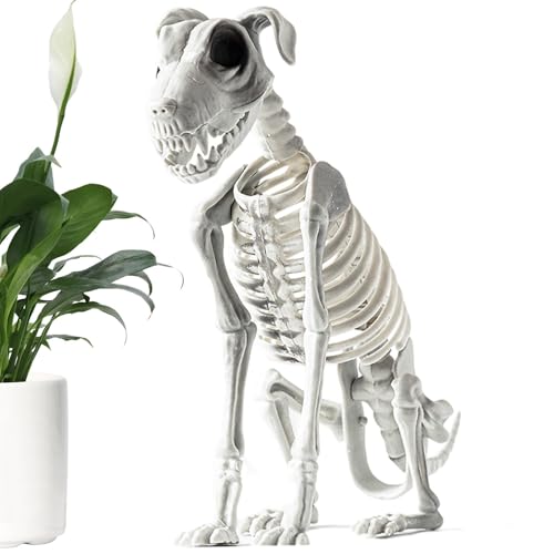 31x44cm Skeletttiere Skeletthund - Scary Dog Skeleton Halloween, Halloween Sitting Hund Skeleton, Halloween Skeletthund Mit Realistischen Zähnen, Skeletthund Halloween Dekoration von Arrovarp