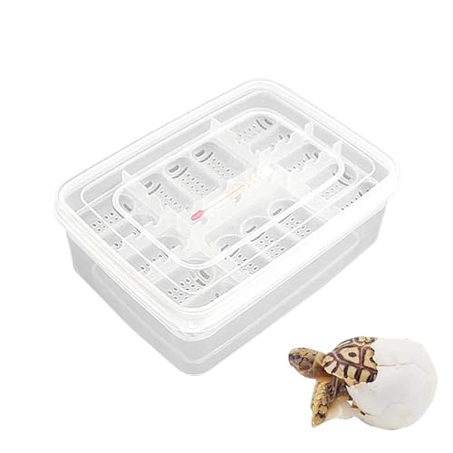 Arrovarp Reptilien Inkubation Eierschalen - 16 Gitter Transparent Eier Schlüpfen Inkubator | Inkubationsbox für Reptilieneierentwicklung, Schlüpfkoffer, Schlüpfschale von Arrovarp