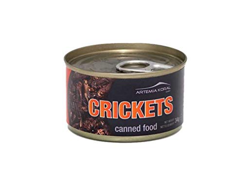 Artemia Konservierte Grillen Gross Canned Crickets Big 34 g Dose 15170 (1 STK.) von Artemia