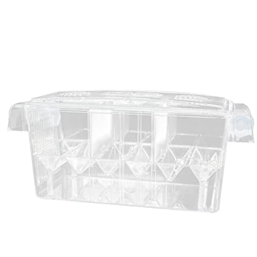 Artibetter Fischzuchtbecken Brüterei Inkubator Fischzuchtbox Transparente Acrylzuchtbeh?lter- Schlupfbox Aquarium Inkubator mit Saugn?pfen für Babyfische Garnelen Clownfisch Und Guppy von Artibetter