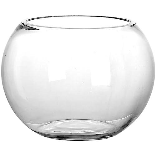 Artibetter Glas-Fischschale, runder Glas-Übertopf, 20 cm, Desktop-Terrarium, kleine Kugel, Goldfischtank, breite Öffnung, Luftpflanzenvase, Hydrokultur, Sukkulenten-Übertopf für Zuhause und Büro von Artibetter