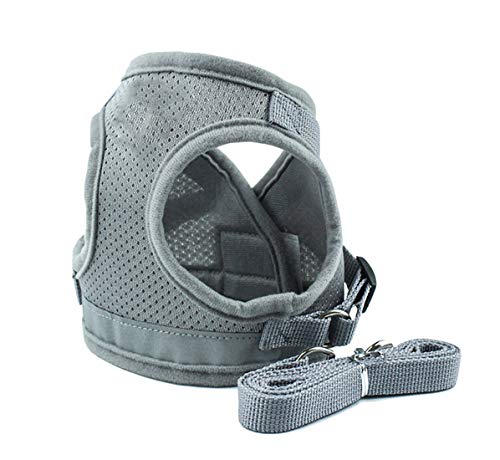 N / A Hündchen Breathable Kein Choke Netzbody Adjustable Reflective Weiche Hundegeschirr Aus Mesh-Harness Mit Leine Für Kleine Hunde Mittelgroße Hunde von Artist Unknown