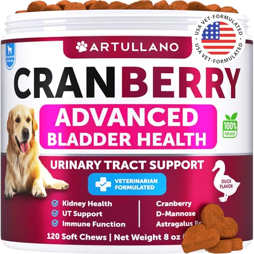 Cranberry Kauspielzeug für Hunde von Artullano