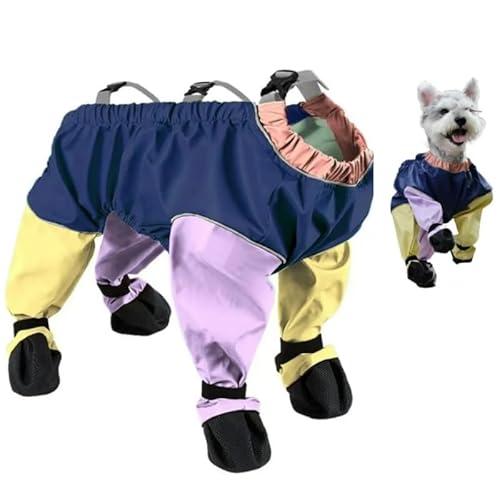 Asiasioc Hundestiefel-Leggings, wasserdichte Hundehose, rutschfest, Pfotenschutz für Outdoor, Spaziergänge, Laufen (XS, mehrfarbig) von Asiasioc