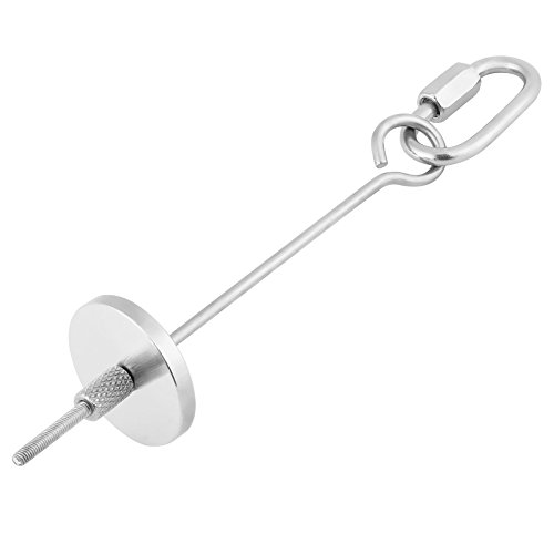 Asixx Vogel Obst Halter, Edelstahl Obst Stick Speer Halter oder Papagei Obst Gemüse Food Stick Halter, Kleintier Vogel Spielzeug ideal für Ihren Lieblings Vogel und Kleintier(#1) von Asixxsix